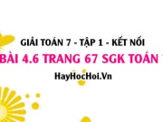 Giải bài 4.6 trang 67 Toán 7 Tập 1 SGK Kết nối tri thức